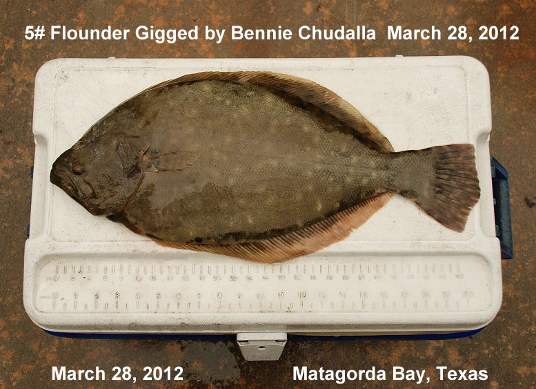 Flounder gigs, Flounder Gigs for Sale, flounder gigging charters